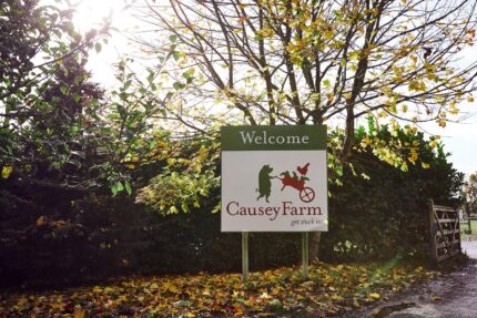 Causey Farm