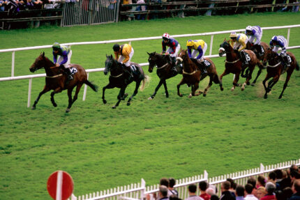 Fairyhouse Racecourse