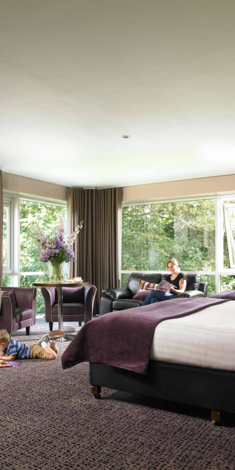 family_room